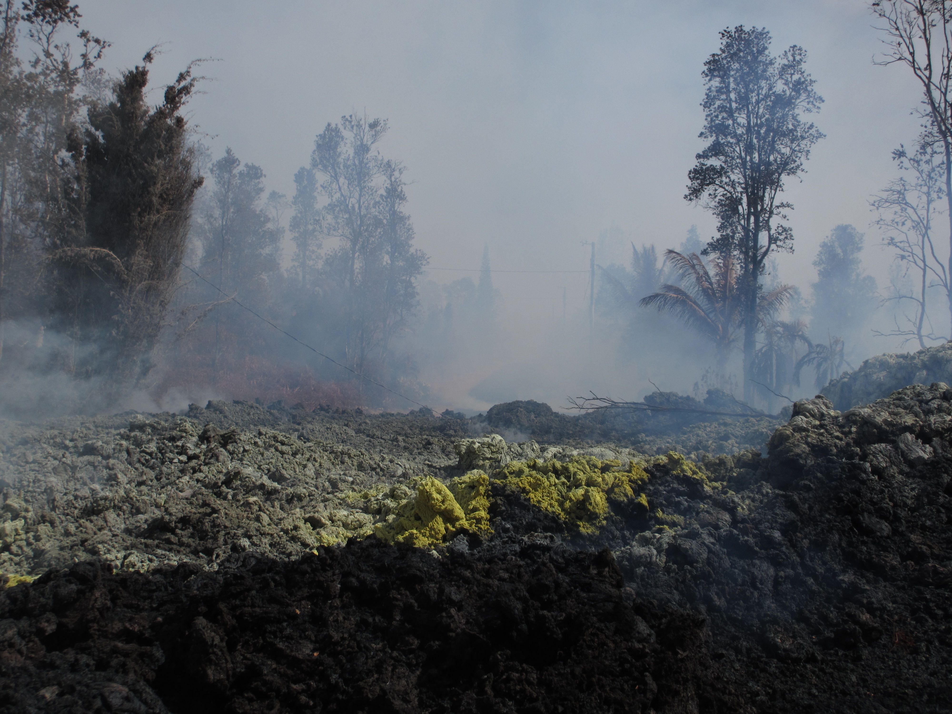 The initial fissure of the 2018 Leilani Estates eruption, just a few hundred yards from Kevin's house